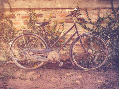 old vintage bicycle parking at grunge wall house with retro filt
