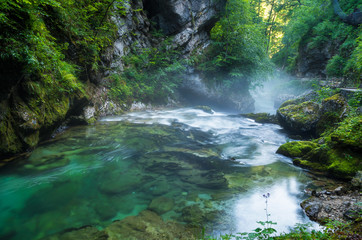 Naklejka na ściany i meble Vintgar gorge and Radovna river with walk path near Bled, Sloven