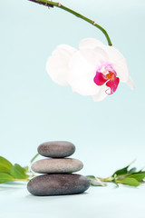 Fototapeta na wymiar Black zen stones with beautiful orchid flower