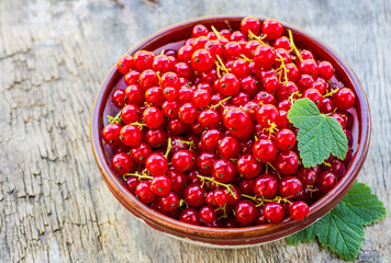Red currant on a plate on background of green garden.