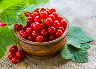 Red currant on a plate on background of green garden.
