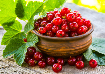 Red currant on a plate on background of green garden.
