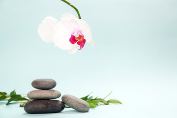 Black zen stones with beautiful orchid flower