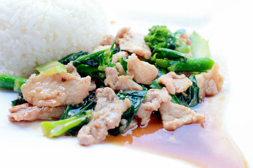 Stir-Fried Broccoli with pork with rice in white dish on white background, Thai Food.