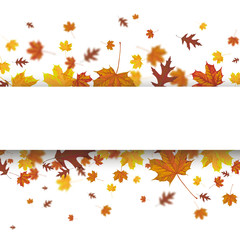 Naklejka na ściany i meble Autumn Foliage Cover Banner Flying Leaves