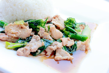 Stir-Fried Broccoli with pork with rice in white dish on white background, Thai Food.