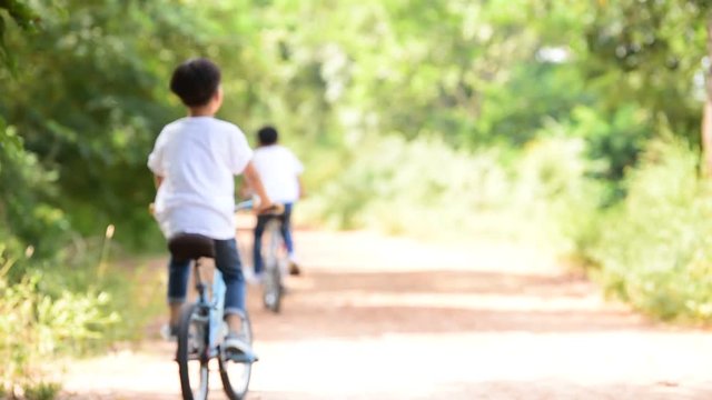 Young Thai boy ride bicycle on the road in the park.
