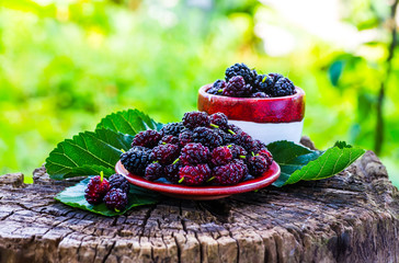 Fresh mulberries in a bowl on a garden background