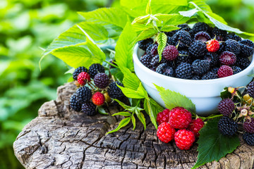 raspberries in a bowl on a wooden background