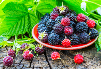 raspberries in a bowl on a wooden background