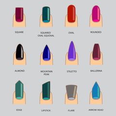 Set of different shapes of nails on gray. Nail shape icons. Manicure polish. Vector illustration 