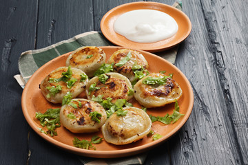 Fried dumplings
