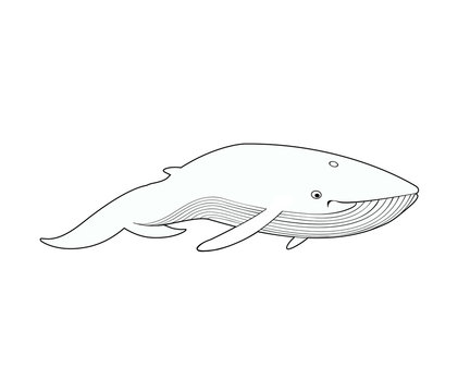 Contour image of whale isolated on white background.