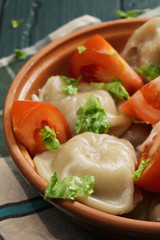 Bowl of steamed dumplings closeup