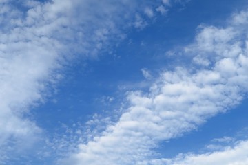 豪快な秋雲