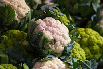 Cavolfiore bianco