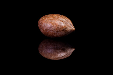 Single shelled  pecan nut isolated on black reflective backgroun