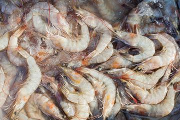 White shrimps chilled on ice in the market