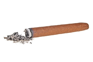 Brown cigar burned on white background