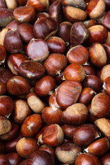 sfondo di castagne