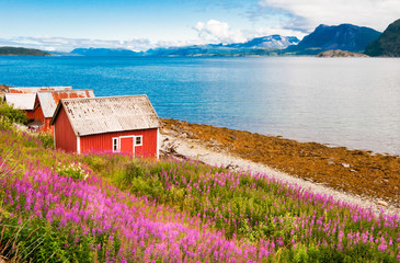 Paysage de fjord de Norvège avec maisons typiques