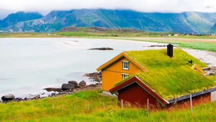 Foto op Plexiglas Tipical grass roof houses in Norway by a fjord © Maresol