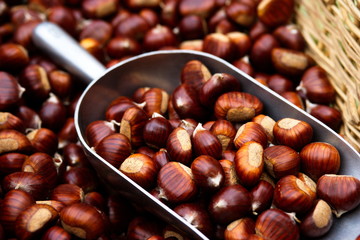 paletta piena di castagne