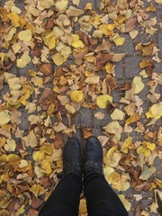 Scarpe su foglie autunnali
