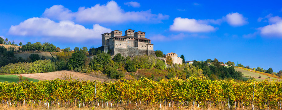 Vinyards and castles of Italy - Torrechiara (near Parma)