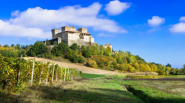 Vineyards and castles of Italy - Torrechiara (near Parma)