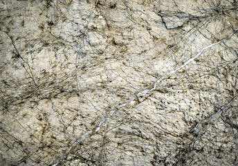 lines as drawn on the limestone rock