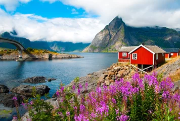 Foto op Plexiglas Lofoten-eilandenlandschap met typische rode huizen, Noorwegen © Maresol