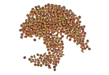 Dry cat food isolated on white background