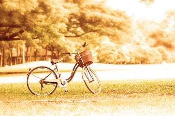 Fototapeta premium Bicycle in the public park in vacation holiday with retro 