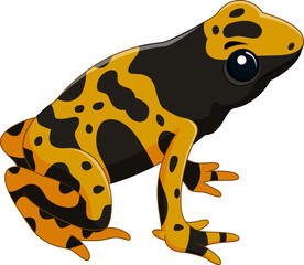 Fototapeta premium Poison dart frog isolated on white background