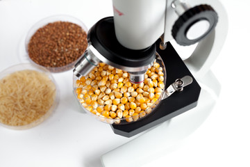 Laboratory for food analysis corn test no one
