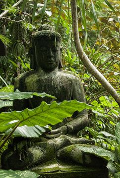 Buddha statue in Bali, Indonesia.