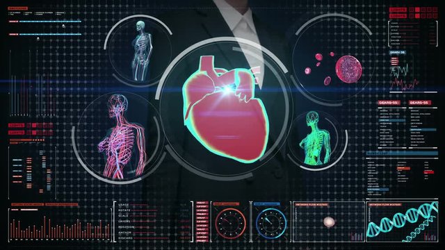 Businesswoman touching digital screen,  Female body scanning blood vessel, lymphatic, heart, circulatory system in digital display dashboard. Blue X-ray view. 
