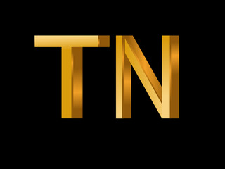TN Initial Logo for your startup venture