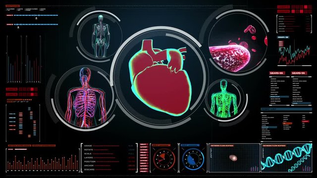 Female body scanning blood vessel, lymphatic, heart, circulatory system in digital display dashboard. Blue X-ray view. 