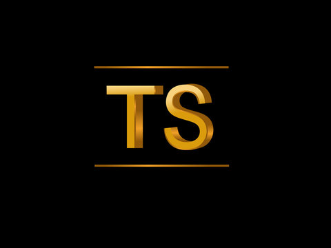 TS Initial Logo for your startup venture