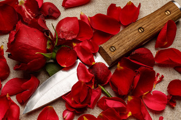 Нож среди лепестков роз