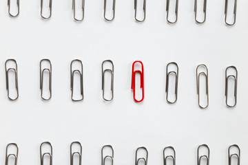Metal paperclips in the rows, one red different from the others, white background, close up. Business concept, high angle