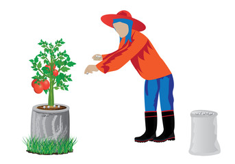 agriculturist manure tomato plant vector design