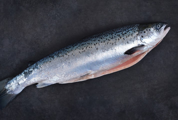 Fresh raw salmon on a black background. Top view.