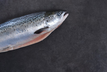 Fresh raw salmon on a black background. Top view.