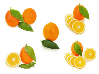 Set of fresh ripe orange fruits with cut and green leaves isolated on white background.