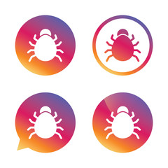 Bug sign icon. Virus symbol. Software bug error.