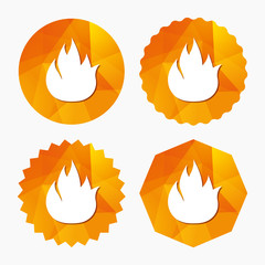 Fire flame sign icon. Fire symbol.