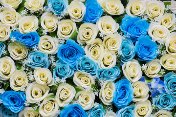 Beautiful flowers blue and white background for wedding scene